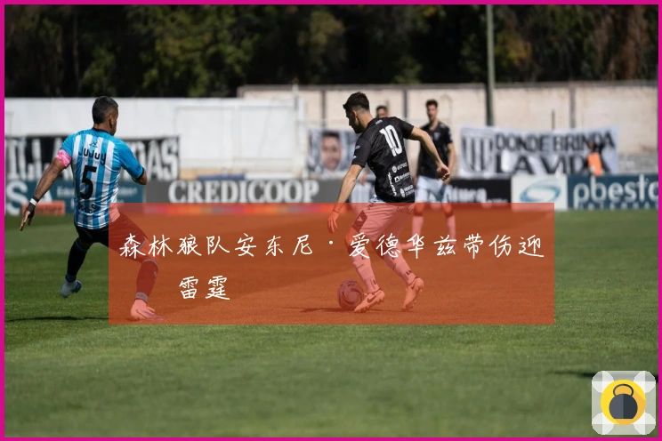 森林狼队安东尼·爱德华兹带伤迎战雷霆